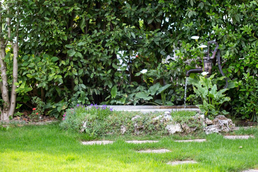 B&B Arco Di Pietra Quinto Di Treviso Eksteriør bilde